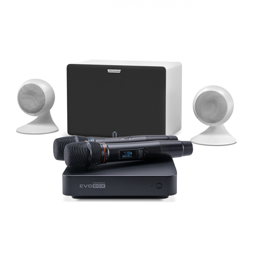караоке-комплект EVOBOX Classic + EvoSound Sphere 2.1 в Костроме