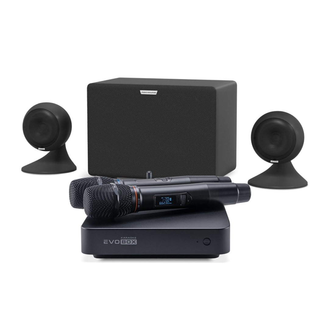 караоке-комплект EVOBOX Plus + EvoSound Sphere 2.1 в Костроме