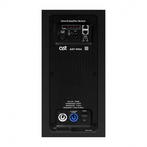 Активная акустическая система AST-310A в Костроме