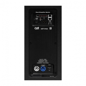 Активная акустическая система AST-312A в Костроме