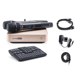 EVOBOX Classic караоке-система для дома в Костроме