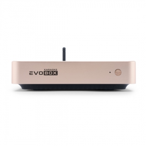EVOBOX Plus караоке-система для дома в Костроме