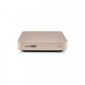 EVOBOX с микрофонами в Костроме